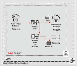 Integracion con Oracle GoldenGate en OCI